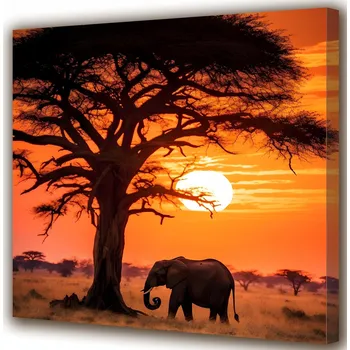Obraz Obraz na plátně Slon na pozadí západu slunce 50x50 cm