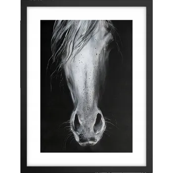 Obraz Obraz plakát v černém rámu do obýváku 30x40 kůň foto plakáty na zeď