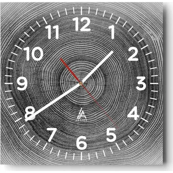 Hodiny Nástěnné hodiny do obýváku 40x40 Strom Tiché hodiny na skle Bez hlučný