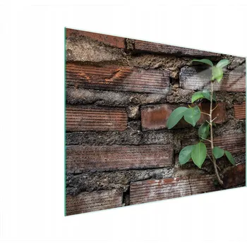 Kuchyňské prkénko Krájecí deska TMK ArtDeko sklo 1 ks