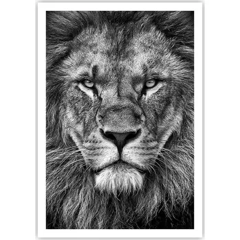 Obraz Plakát na zeď bez rámu 70x100 zvířata obraz plakáty do obývacího pokoje ložnice