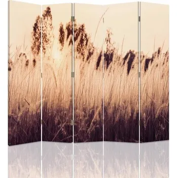 Paraván Paraván Feeby Hnědý 5-křídlový Oboustranný 180 x 170 cm