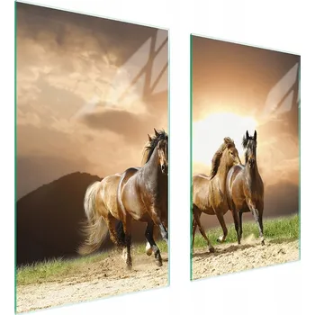 Obraz Krájecí deska TMK ArtDeko sklo 2 ks