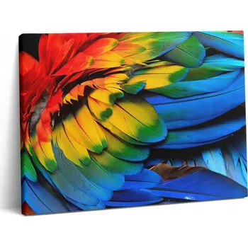 Obraz Fotoobraz Krásný Tisk Barevná Křídla Papouška Ara do Ložnice