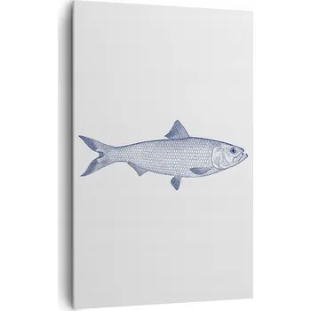 Obraz Velký obraz do obýváku XXL 80x120 ryba moderní fototisk na plátně obrazy