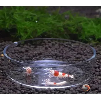 Krmící miska skleněná