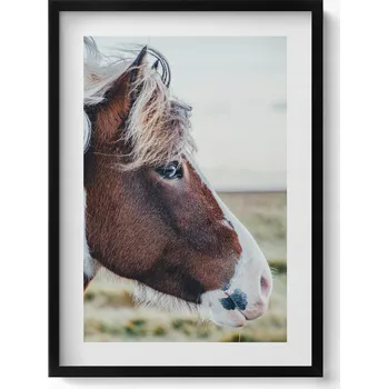 Obraz Moderní nástěnná dekorace Detail hnědého koně s hřívou 50x70 cm