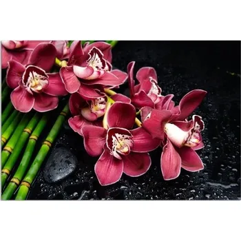 Obraz Obraz na plátně 70x50 růžová orchidej bambus