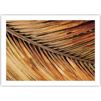 Obraz Plakát bez rámu do obýváku ložnice 70x50 botanika moderní módní obraz