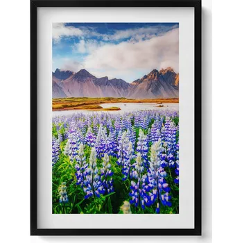 Obraz Dekorativní obraz v černém rámu na zeď Magické květy lupiny 50x70 cm