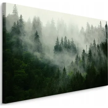 Obraz Nástěnný obraz Krajina Les V MLZE Příroda 40x30