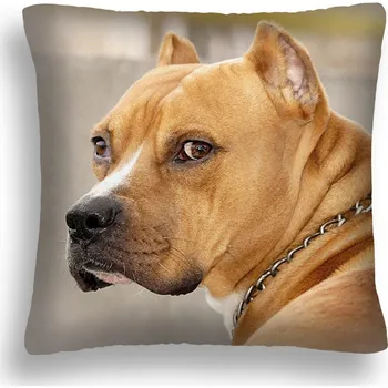Polštář POLŠTÁŘ VELKÝ 50*50 PES 13 PITBULL S OBOJKEM