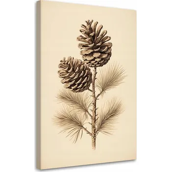 Obraz OBRAZ NA PLÁTNĚ CANVAS Šišky 60x90