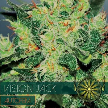 Pěstitelství Vision seeds Vision Jack AUTO Počet ks Feminizované: 3+1
