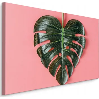 Obraz Obraz na chodbu List Monstery ZELEŇ 3D 70x50