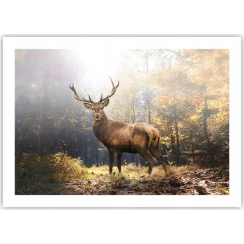 Obraz Plakát bez rámu do obýváku ložnice 70x50 krajina moderní módní obraz