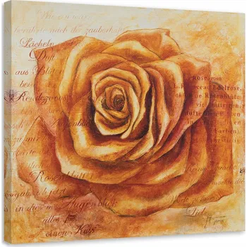 Obraz OBRAZ NA PLÁTNĚ Růže Květina Oranžová 40x40