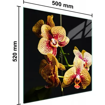 Kuchyňské prkénko Krájecí deska TMK ArtDeko sklo 1 ks