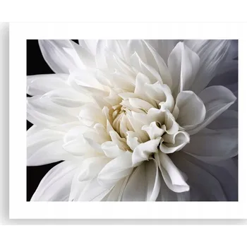 Obraz Obraz plakát na zeď bez rámu 50x40 květinový foto plakát do obýváku ložnice