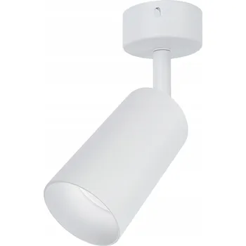 Bodové svítidlo Stropní bodové svítidlo kulatý DLED bílé SPOT GU10