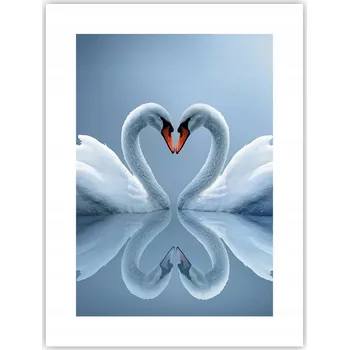 Obraz Obraz plakát do obýváku, ložnice 30x40 labutě, plakáty na zeď bez rámu