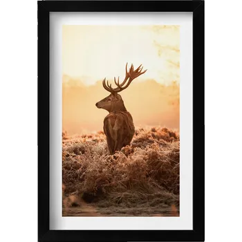 Obraz Obraz s černým rámem a grafikou na zeď Jelen při východu slunce 20x30 cm