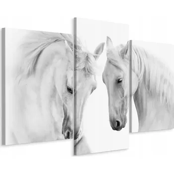 Obraz Obraz Triptych Bílí KONĚ Příroda Dekorace 3D 60x40