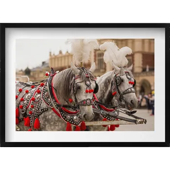 Obraz Dekorace obraz v černém rámu na zeď Krásní koně v Krakově 70x50 cm
