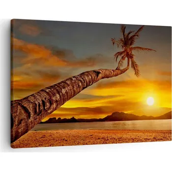 Obraz Obraz na plátně do obýváku ložnice 70x50 palma foto obrazy na zeď