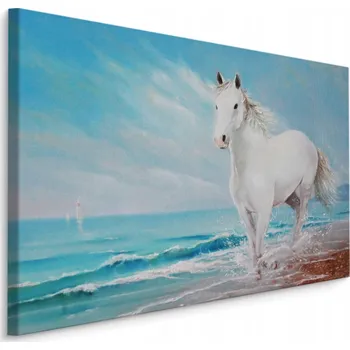 Obraz Obraz do jídelny bílý kůň moře pláž 3D 30x20