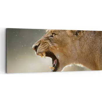 Obraz Foto obraz na plátně 100x40 zvířata obývací pokoj ložnice na zeď velký