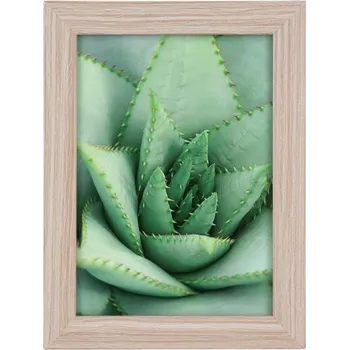 Obraz Rámeček na jednu fotografii Goldbuch 18,5 x 13 cm