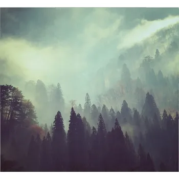 Kuchyňské prkénko Skleněná Ochranná Deska a Krájecí Prkénko | Indukce, Sporák ds-0388