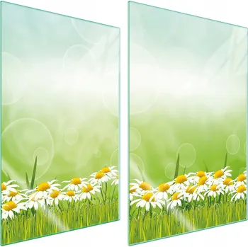 Obraz Krájecí deska TMK ArtDeko sklo 2 ks