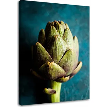 Obraz OBRAZ NA PLÁTNĚ CANVAS artyčok 40x60