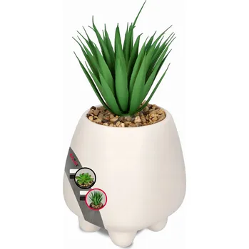 umělá květina Umelý sukulent Kadax K2968 22 cm