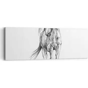 Obraz Obraz na plátně do obýváku ložnice 90x30 kůň foto obrazy na zeď canvas