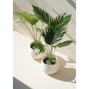 Plakát Plakát Obrysy květináčů bez rámu 64 x 90 cm