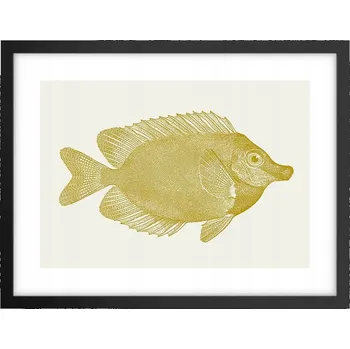 Obraz Obraz plakát v černém rámu do obýváku 40x30 ryba foto plakáty na zeď