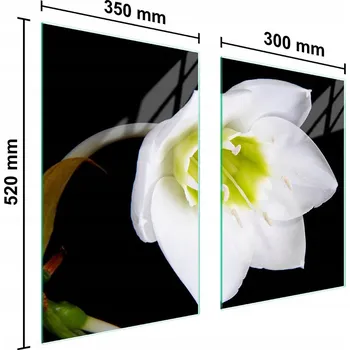 Kuchyňské prkénko Krájecí deska TMK ArtDeko sklo 2 ks