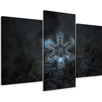 Obraz Obraz Triptych SNĚHOVÁ VLOČKA v Makro Měřítku 60x40