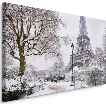 Obraz Obraz do Obývacího Pokoje Eiffelova Věž ZIMA Stromy 3D 40x30