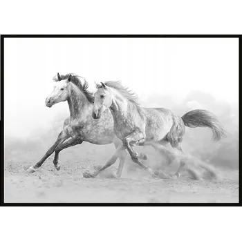Obraz OBRAZ PLAKÁT V RÁMU 43x33 cm Koně P904