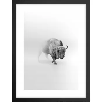 Obraz Obraz plakát v černém rámu do obýváku 30x40 - foto plakát s zubrem na zeď