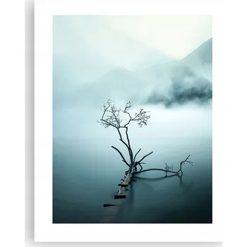 Obraz Obraz plakát na zeď bez rámu 40x50 mlha foto plakáty do obýváku ložnice