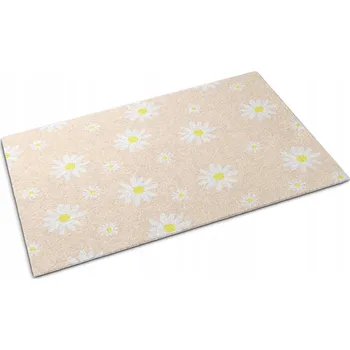 Rohožka Hotová textilní venkovní rohožka 60 x 40 cm