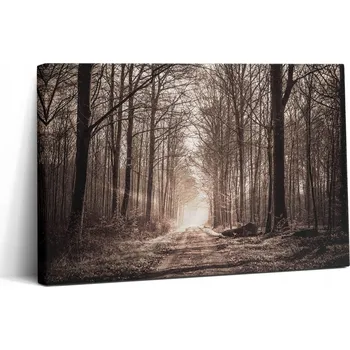 Obraz Obraz Canvas Plátno Rám Ze Dřeva Do Domu Loft Lesní Cesta Sepia 30x20 cm