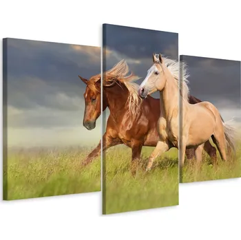 Obraz Obraz - Triptych cválající koně Louka Příroda 60x40