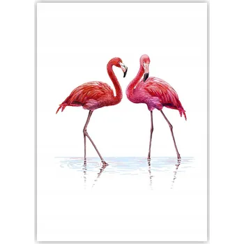 Obraz Plakát bez rámu do obývacího pokoje ložnice 50x70 plameňáci moderní módní obraz