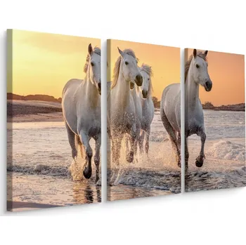 Obraz Obraz Tryptych cválající koně u Moře 60x40